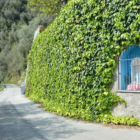 Apartmán Casa Ulivi