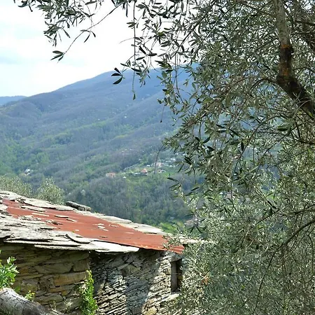 Apartmán Casa Ulivi Carasco